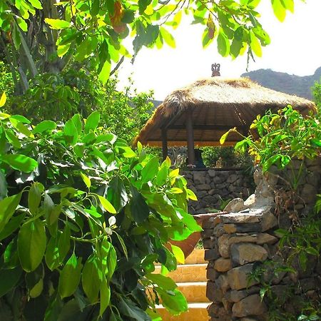 Villa With Ocean View Agulo Kültér fotó